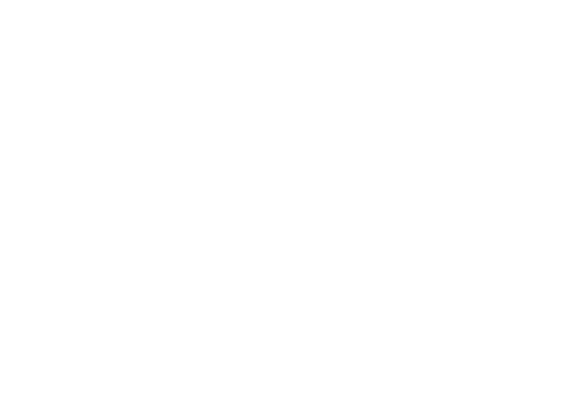 KPN logo